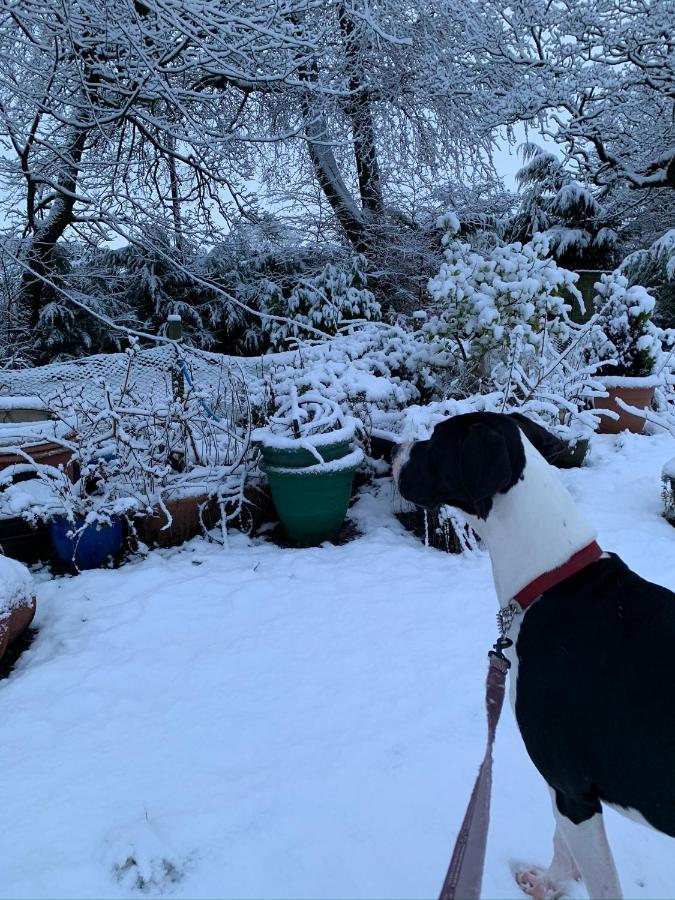 Pirnie Lets * Slamannan